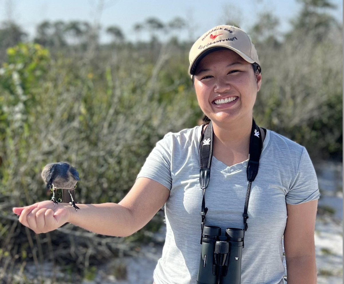 Faye feeding a peanut to a Florida Scrub-Jay