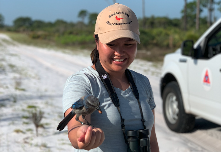 Faye feeding a Florida Scrub-Jay